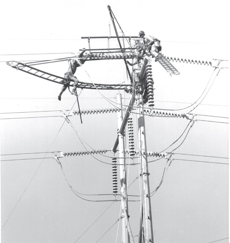 EHV Trough-Design Insulator Cradle
